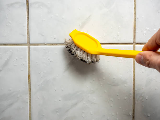 Best Mold Removal Process  in Cedar Mill, OR