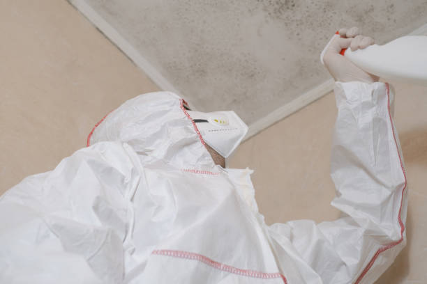 Home Mold Removal in Cedar Mill, OR